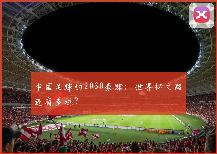 中国足球的2030豪赌:世界杯之路还有多远?