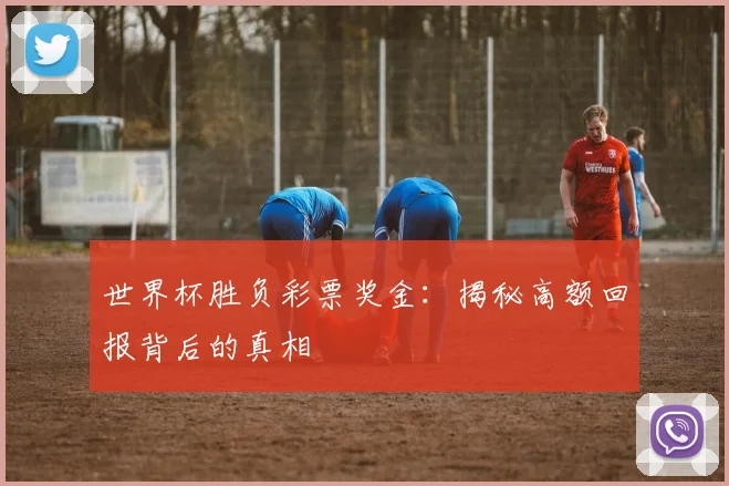 世界杯胜负彩票奖金:揭秘高额回报背后的真相