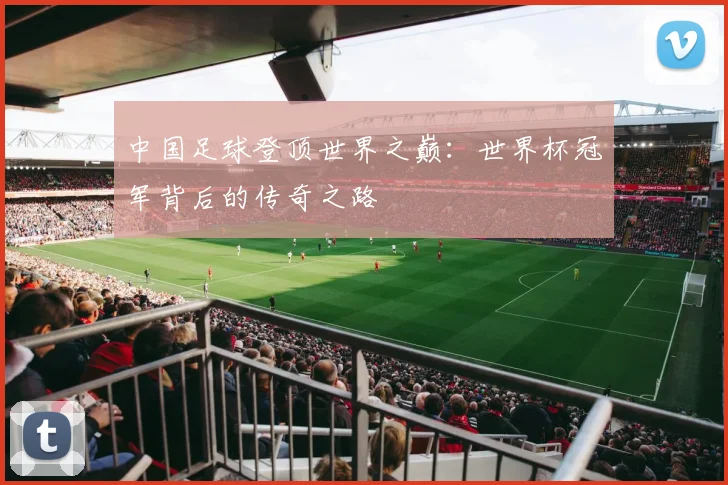 中国足球登顶世界之巅：世界杯冠军背后的传奇之路