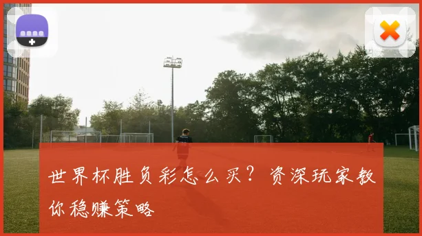 世界杯胜负彩怎么买?资深玩家教你稳赚策略
