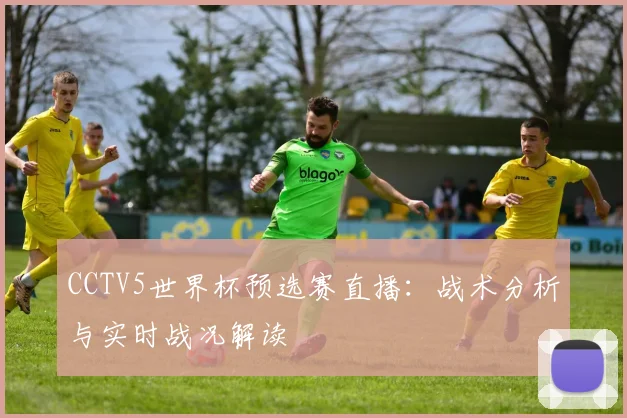 CCTV5世界杯预选赛直播：战术分析与实时战况解读